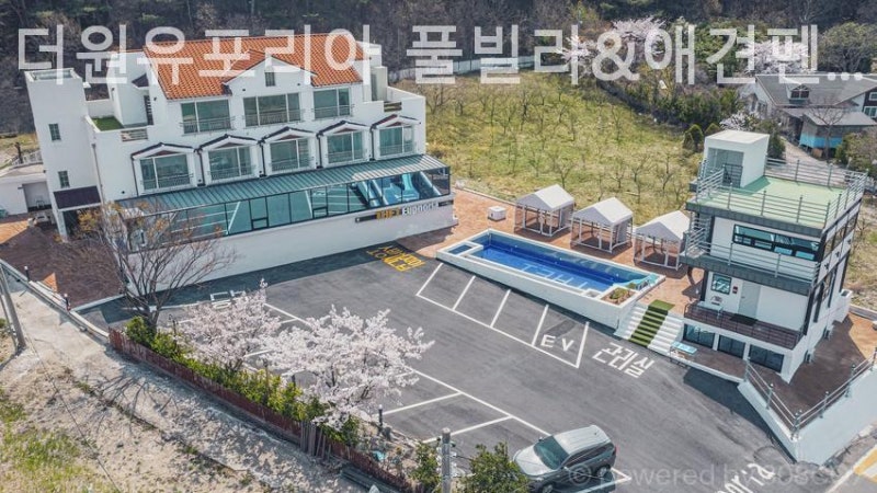 사진 3