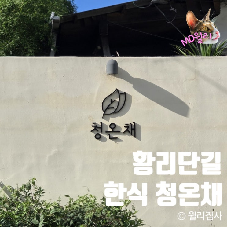  황리단길맛집 청온채에서 특별한 한식을
