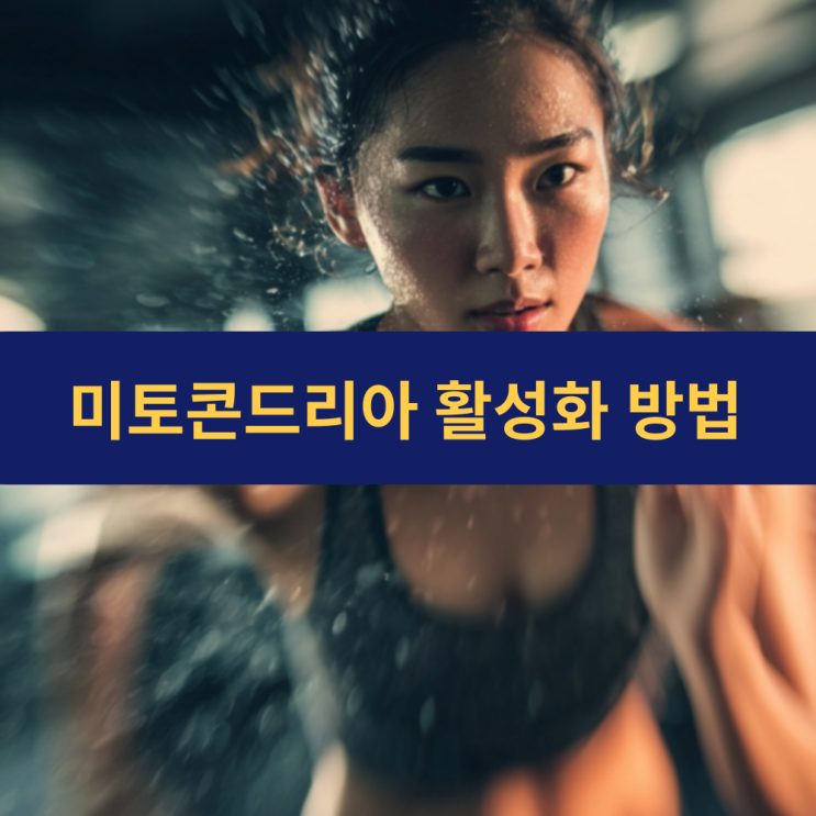  만성 피로를 극복하는 미토콘드리아 활성화 전략 | 세포 에너지 대사