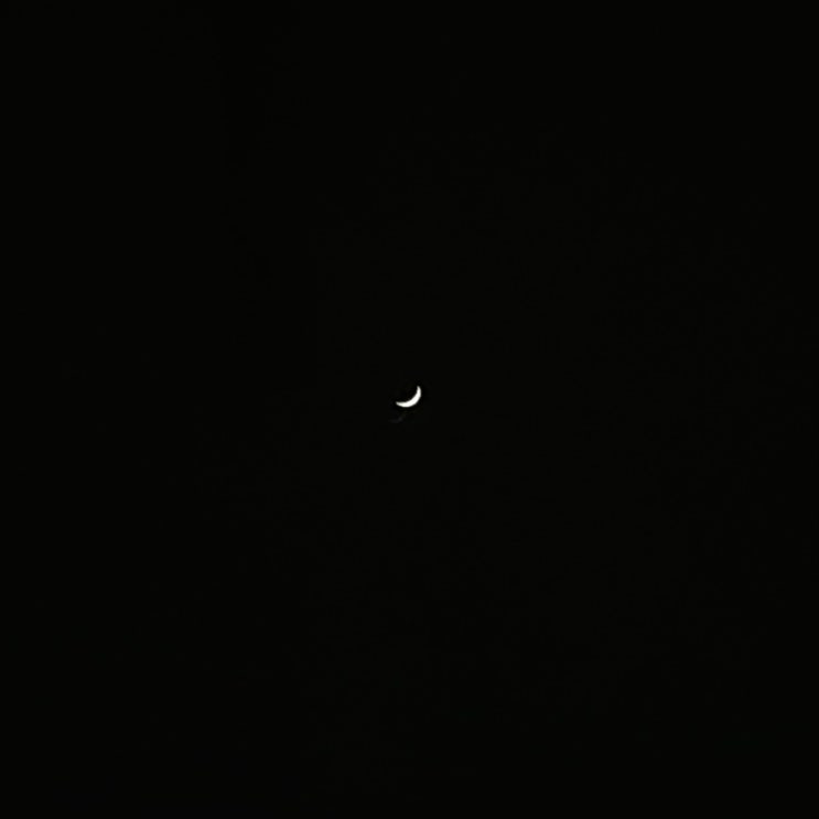  이게 뭐냐면(11)