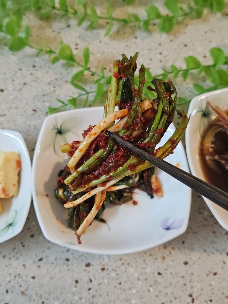  [해천 우리집 쪽파김치 파김치] 입맛 돋우는 밥도둑 쪽파김치