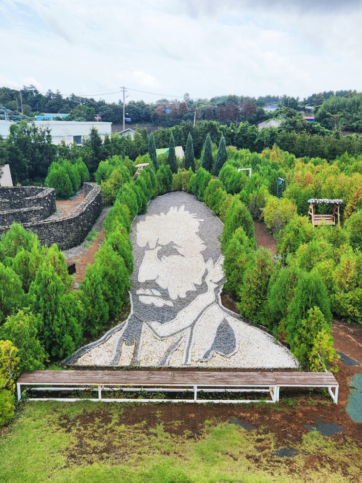  제주 고흐의정원 방문기 ｜ 미로정원·AR미술관·루프탑 전망대 입장료 할인까지!