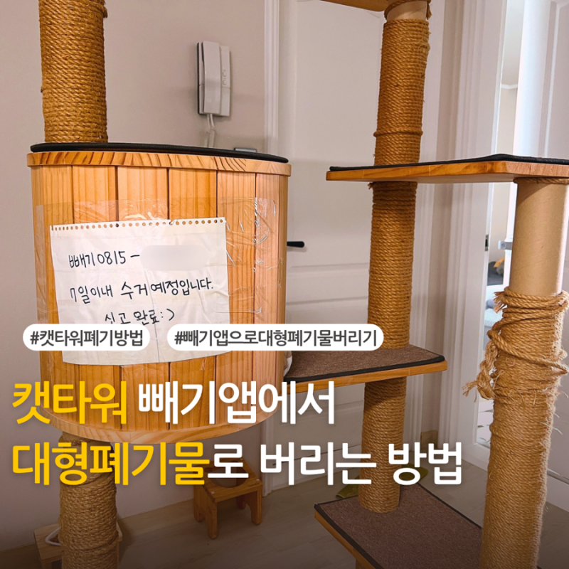 빼기 앱 캣타워 대형폐기물 버리는 방법 가능지역