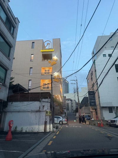 사진 6