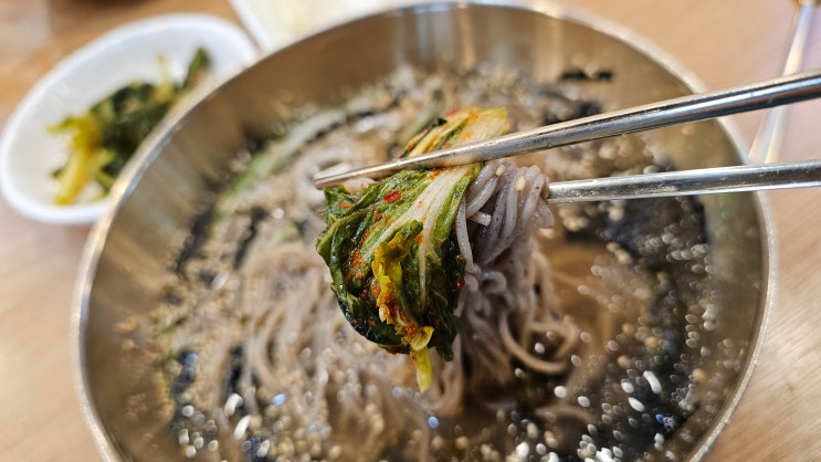  양주 송추 방태막국수 송추본점, 시원한 물막국수 맛집 한그릇!