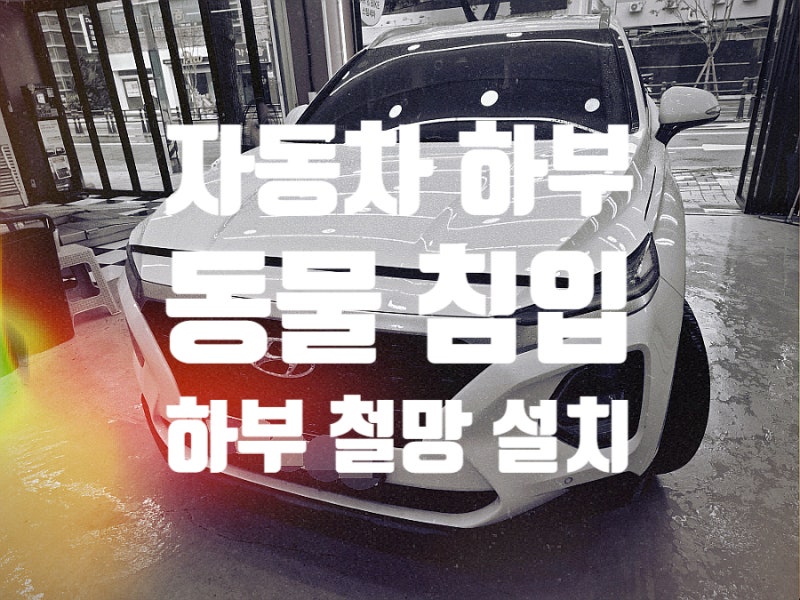 자동차 고양이 방지 퇴치 하부 철망 설치