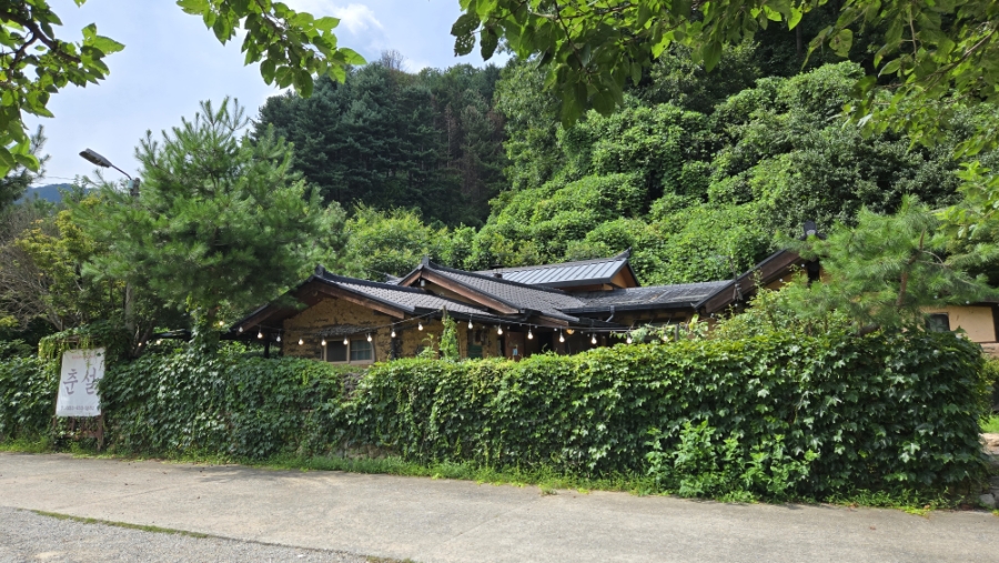 춘설 사진 2