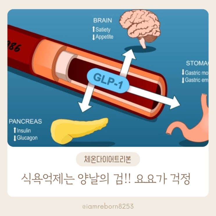  위고비, 덱소니아는 요요가 걱정