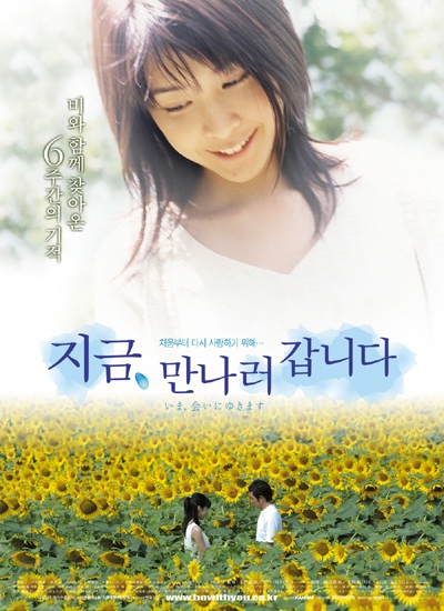  [일본 영화 추천] 지금, 만나러 갑니다(2005) - 장마 속에 피어난 두 번째 사랑