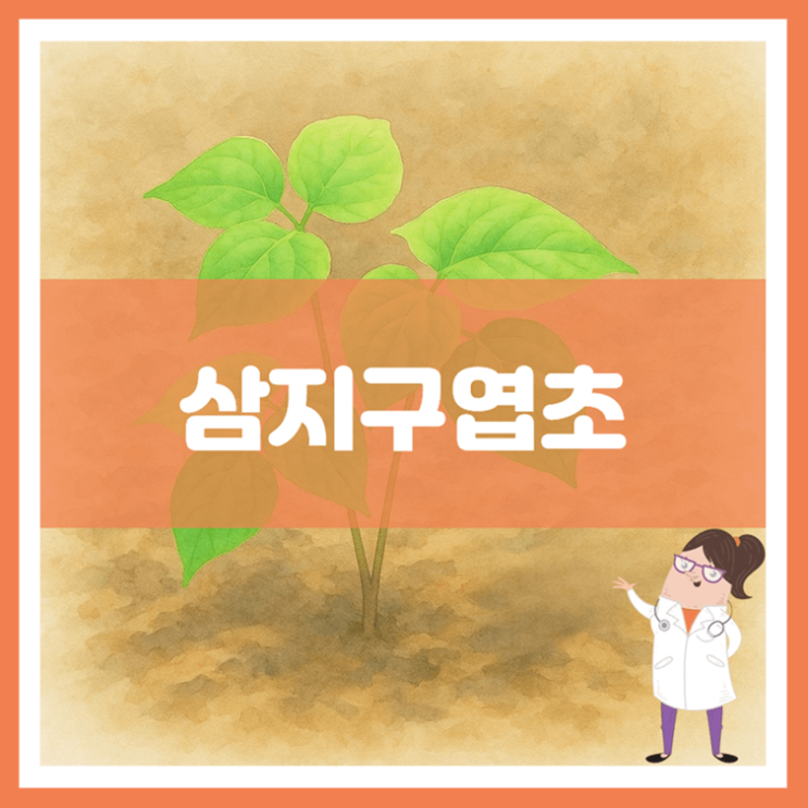  삼지구엽초 효능 부작용 먹는 방법
