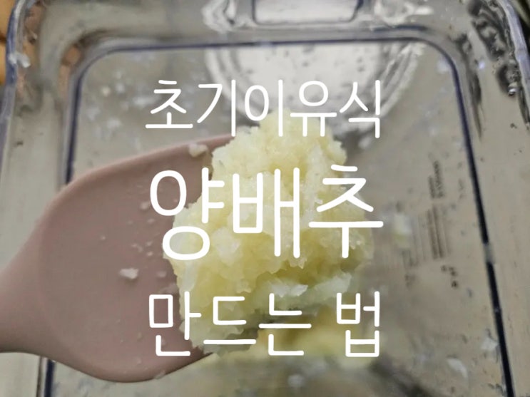  초기이유식 야채: [양배추] 손질법