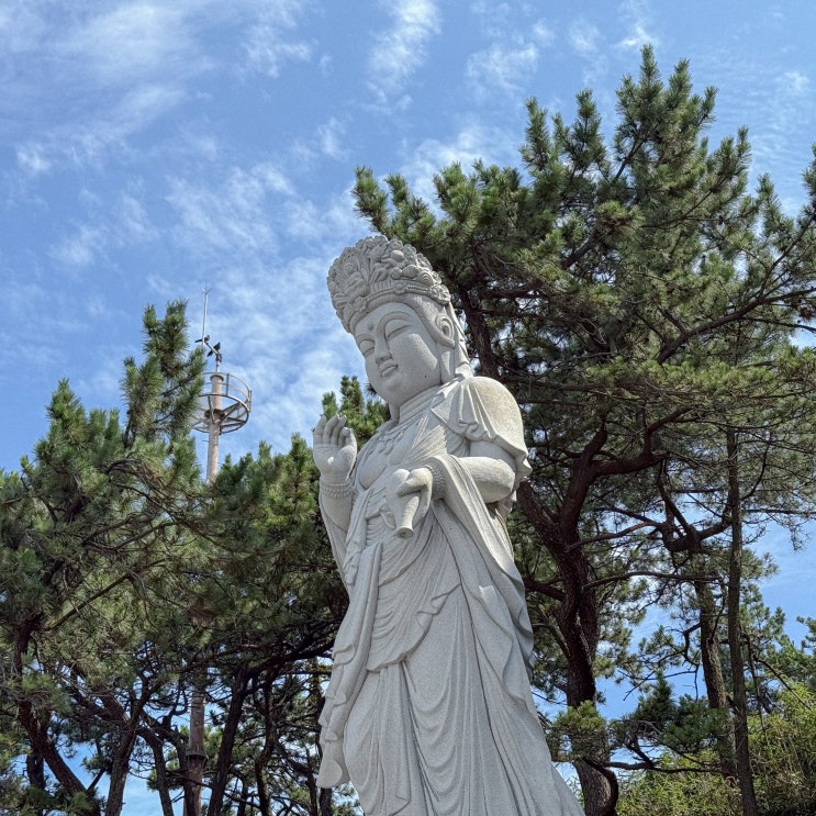  부산 기장 가볼만한곳 해동용궁사 주차비 관람시간 볼거리