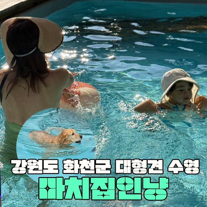 마치집인냥
