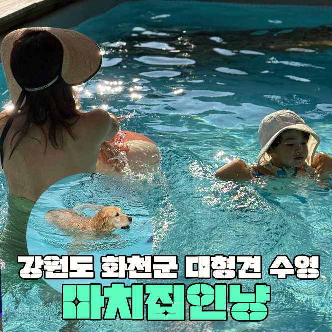 마치집인냥 사진 1