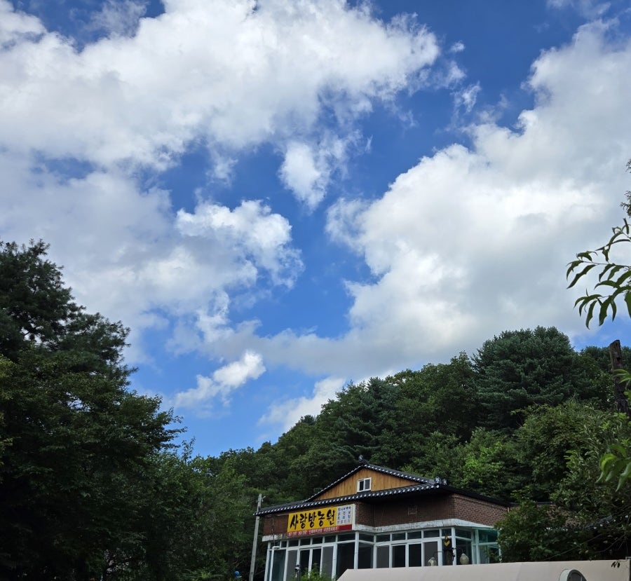 사랑방농원 사진 6