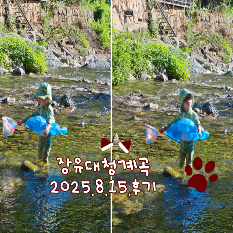  장유대청계곡, 부산근교계곡: 물놀이계곡 3탄(2025.8.15 방문후기)