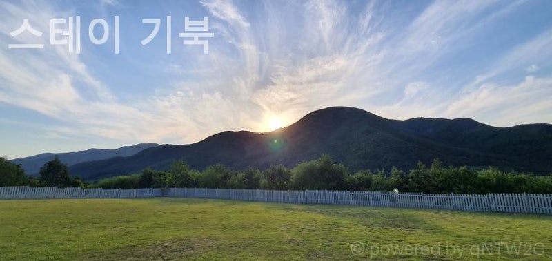 사진 2