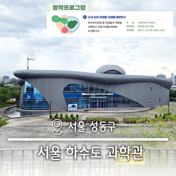  내 손 안의 미생물 미생물배양 방학특강 서울하수도과학관
