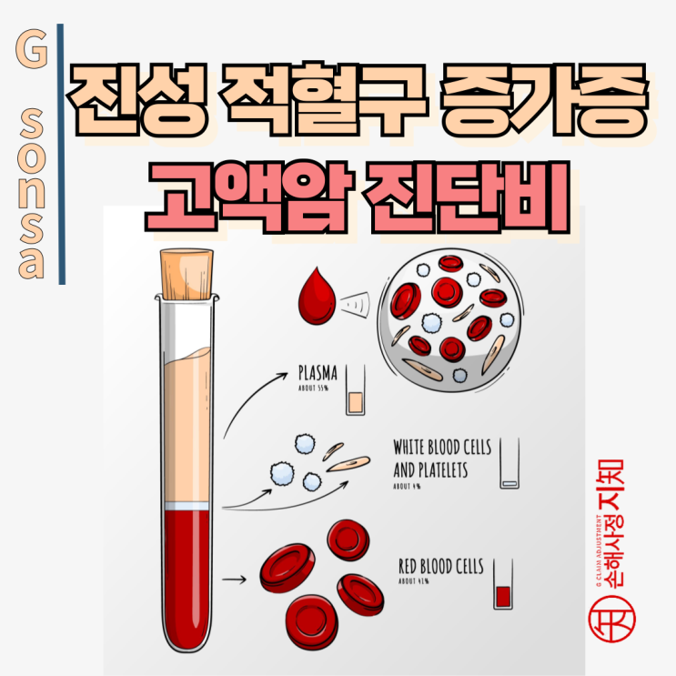  진성적혈구증가증 고액암 진단비, D45 코드에서 D47.1로 바꾼 결정적 한 수 - [보험금, BA+DA]