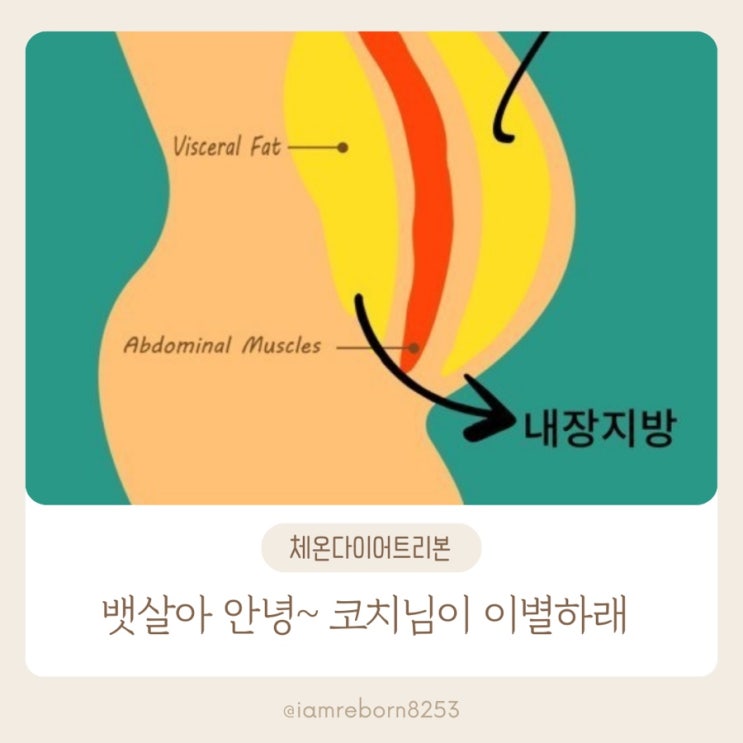  뱃살아 이젠 안녕! 체온다이어트 리본코치가 너랑 절교하래!
