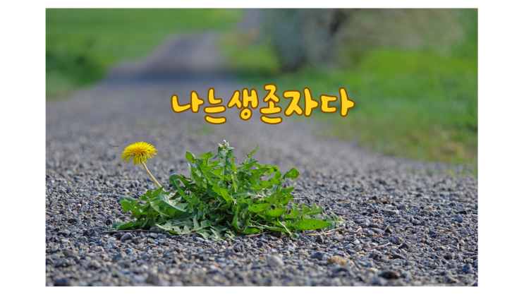  나는생존자다 ㅡ 나는 JMS생존자입니다