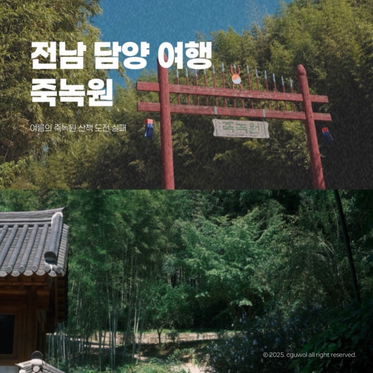  전남 담양 여행 여름의 죽녹원 산책 도전 실패