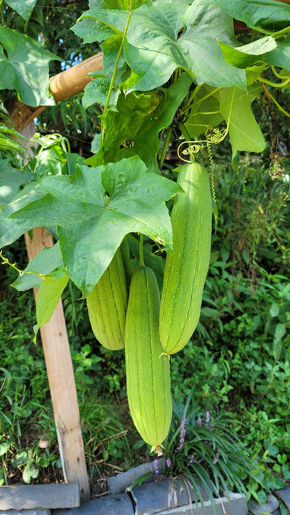 여선재 사진 5