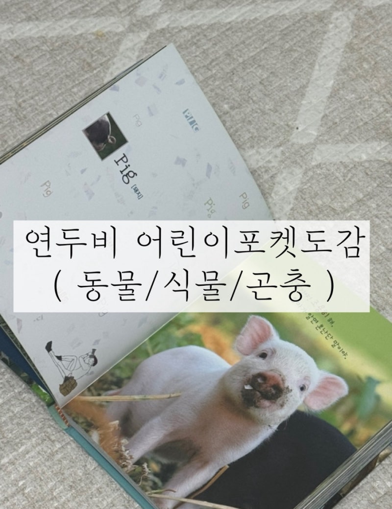 블로그 후기 사진