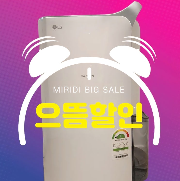  LG 휘센 제습기 DQ205PBBC 실제 소음은 어떨까?