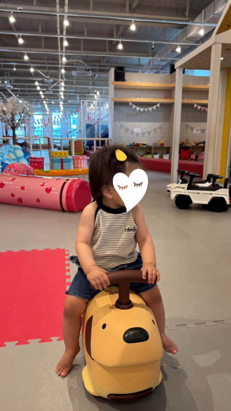  [진주 카페] 윌리코기 키즈카페 진주점 아이들과 함께하는 키즈카페 더운날 가볼만한 곳 추천