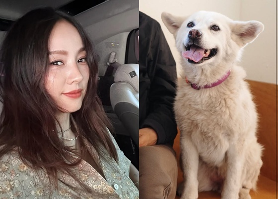가수 <b>이효리</b>, 2010년 입양한 <b>석삼이</b>와 영원한 이별 소식