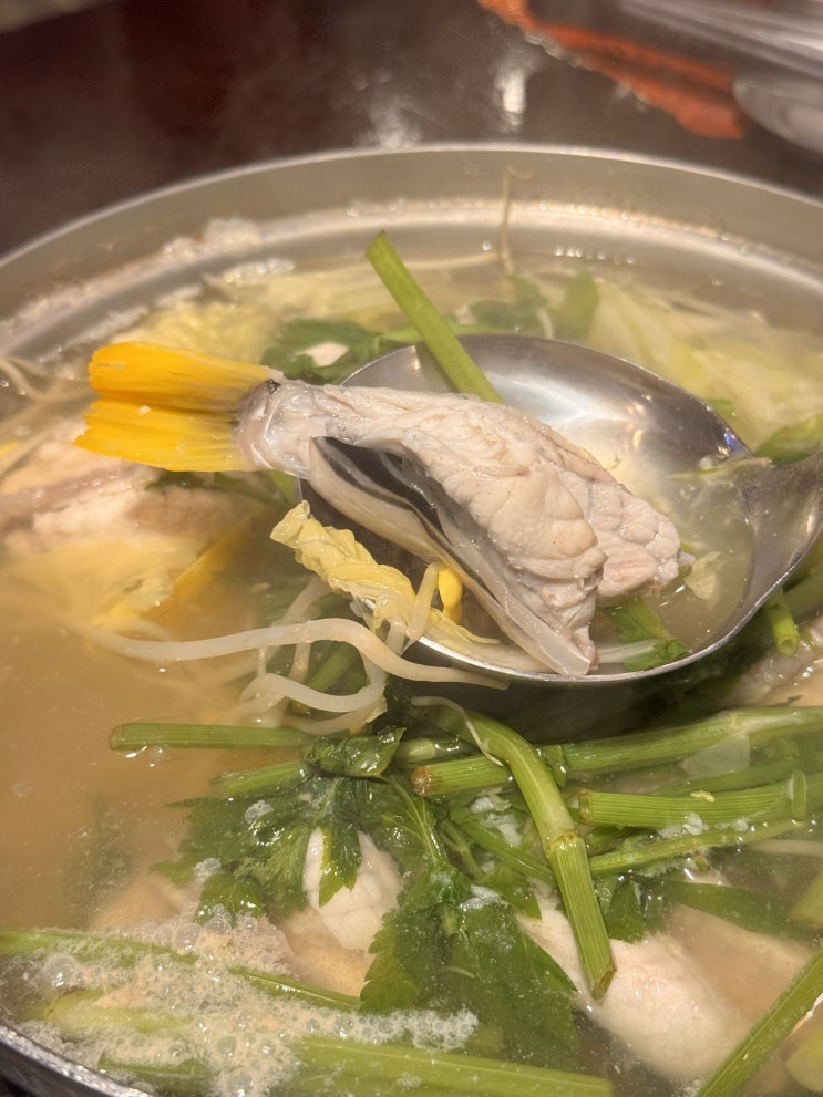  삼성역맛집 강남 복어 포스코사거리 가족모임 회식하기 좋은 수림복국 선릉삼성본점