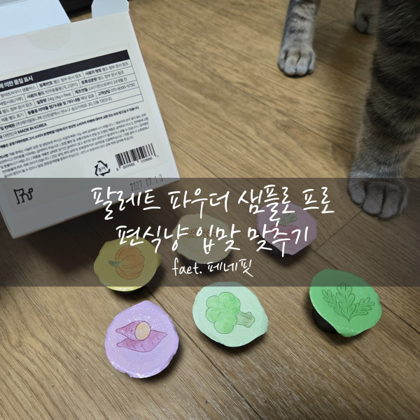  편식 고양이 카롱이도 반한 페네핏 파우더 후기!