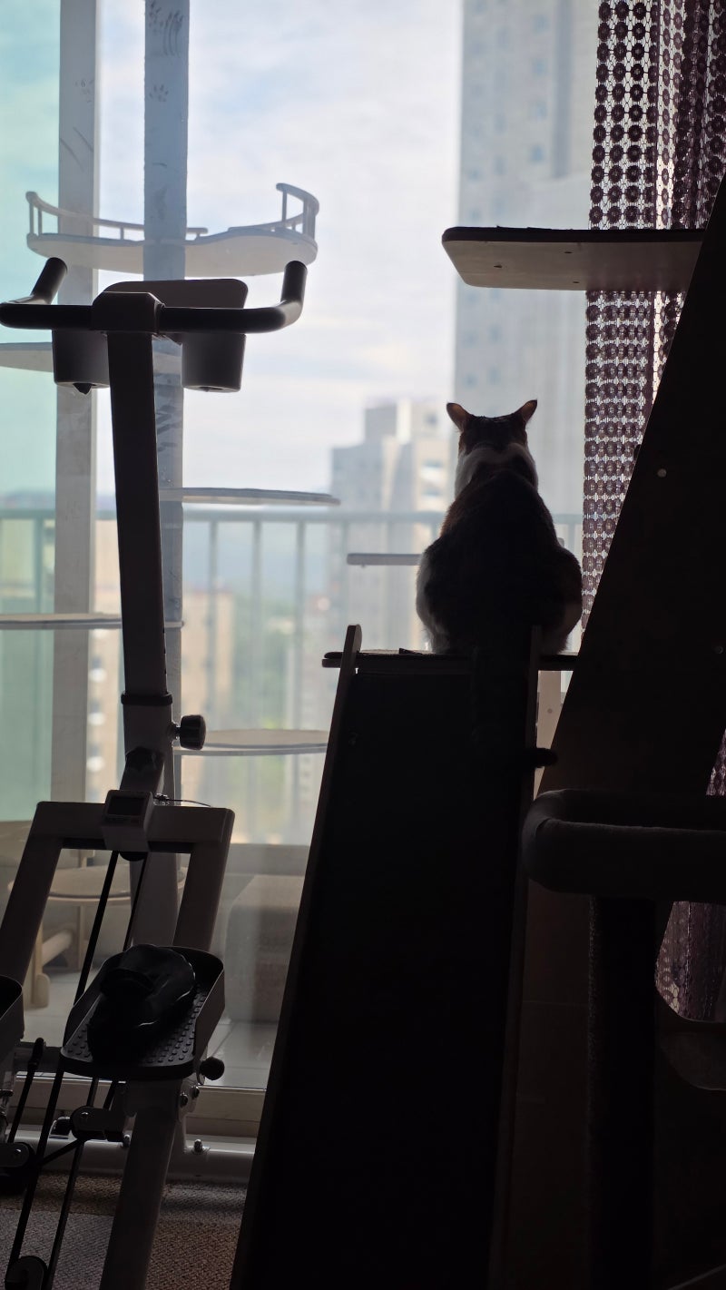 사진 3