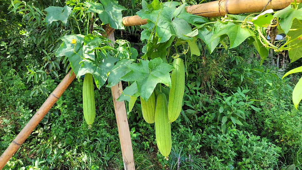 여선재 사진 6