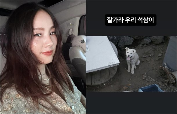 [속보] <b>이효리</b>, <b>반려견 석삼이</b> 떠나보내...팬들 "맴찢"ㅠㅠ