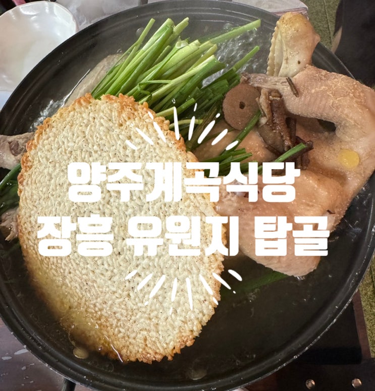 장흥 유원지 탑골에서 즐긴 힐링 나들이 숨은 양주계곡식당 후기