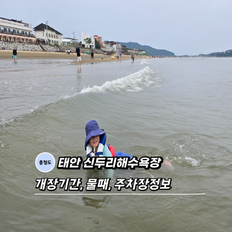 물때 맞춰가요 태안 신두리해수욕장 개장일 샤워