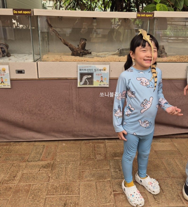 사진 3