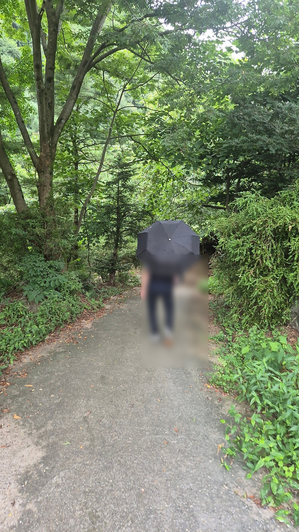 소백산가는길펜션 사진 5