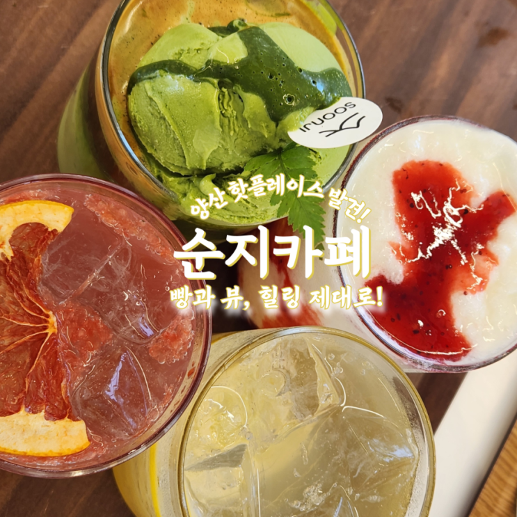  양산 순지카페  베이커리 맛집·정원뷰·애견동반 카페 솔직 후기