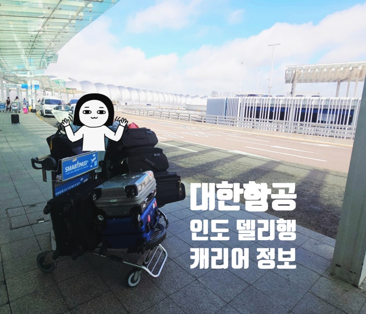  인도 주재원 캐리어 몇개가능?대한항공 델리행 수화물 규정