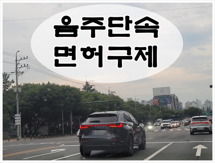  진주 음주단속 생계형 면허구제 필요하다면