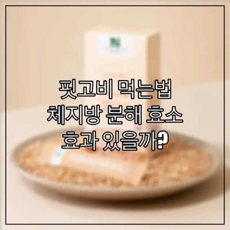  핏고비 먹는법, 체지방 분해 효소 효과 있을까?