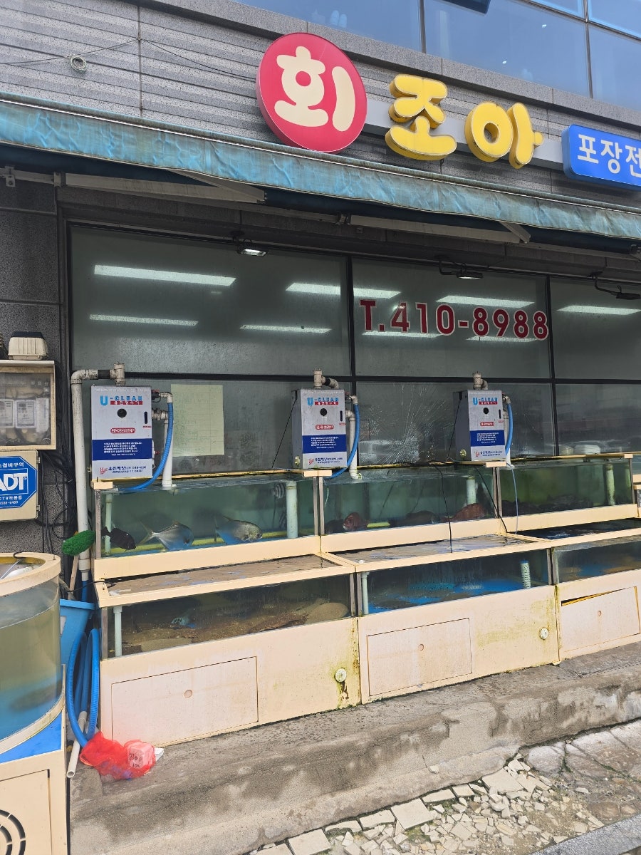조아회 사진 2