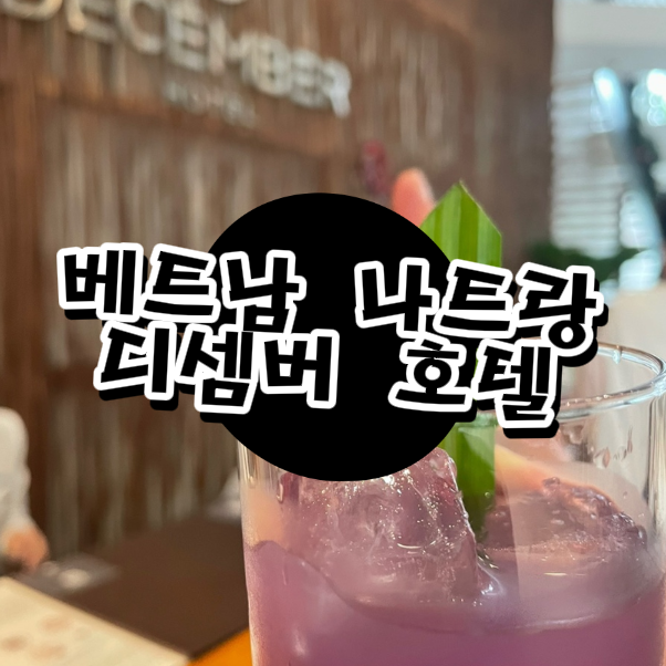  나트랑 호텔 추천｜디셈버 호텔 솔직 후기 & 여행 숙소 리뷰
