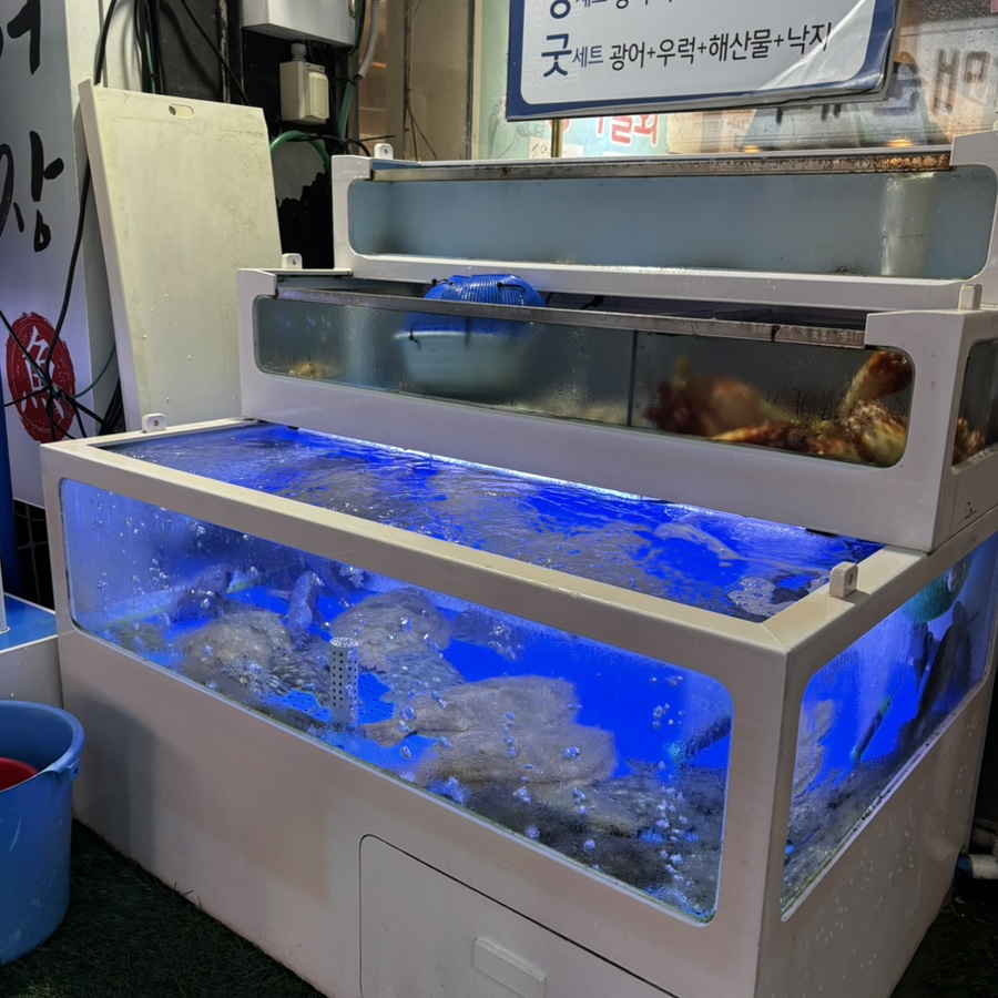 도시어장 사진 4
