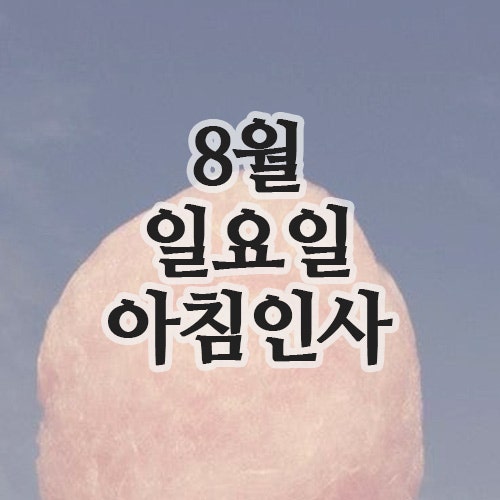  8월 인사말, 17일 일요일 주말 행복한 아침인사 문자