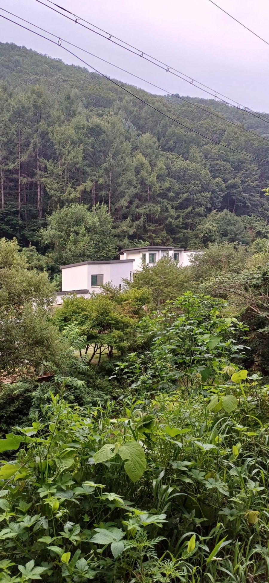 팜파스펜션 사진 5