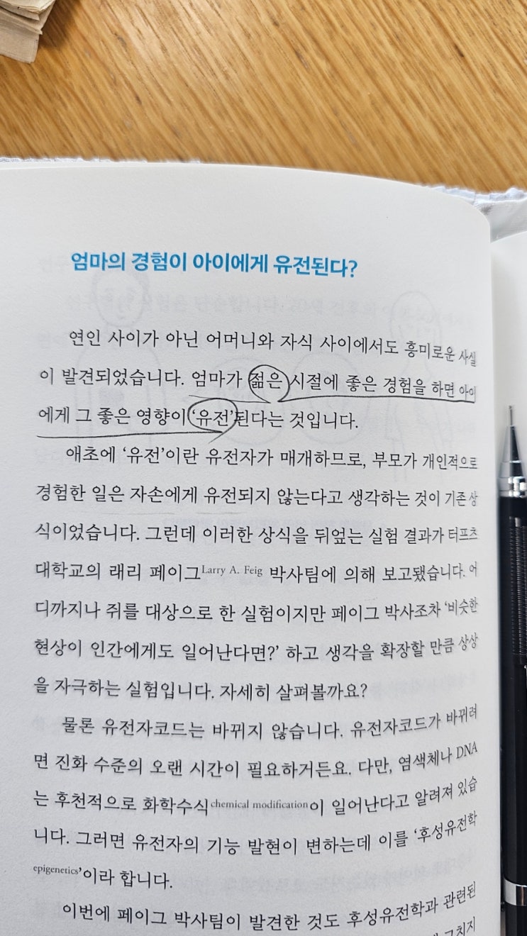  [4] 엄마의 젊은 시절 좋은 경험들이 내 아이에게 유전된다? - [나답게 살고싶어서 뇌과학책을 읽습니다.]